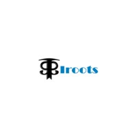 Iroots_software logo - Similar company to Iroot