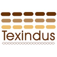 Texindus Texteis Industriais Ltda logo - Similar company to Remae Industria E Comércio Ltda