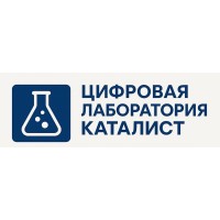 Digital Lab Catalyst logo - Similar company to Stablecoin Insider