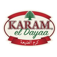Karam El Dayaa logo - Similar company to Wolf