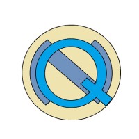 QUANTUM-NEURAL logo - Similar company to Piya Ai (Quantum Piya)