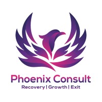 Phoenix Consult Limited logo - Similar company to Magnifyb