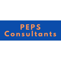 PEPS Consultants logo - Similar company to Peps Digital