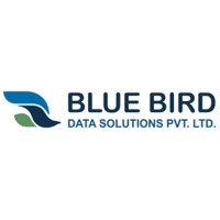 BLUEBIRD DATA SOLUTIONS PVT LTD logo - Similar company to Markitals