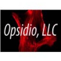 Opsidio, LLC logo - Similar company to Opsidium
