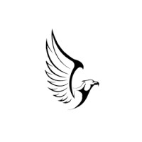 The Blue Falcon logo - Similar company to Ntv Europe