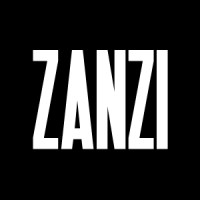 ZANZI Records logo - Similar company to Traci Tech