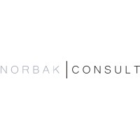 Norbak Consult ApS logo - Similar company to Yellowsafety
