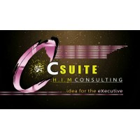 C-Suite HIM Consulting logo - Similar company to C-Executives