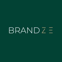 BrandZE logo - Similar company to Ajay Infotech