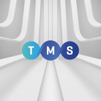 TMS Consulting logo - Similar company to Tms Consultancy