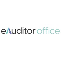 eAuditor Office: Fractional/Virtual CFO logo - Similar company to Acta International