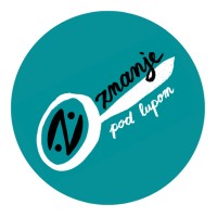Znanje pod lupom logo - Similar company to V&S Projects