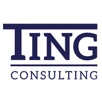 Ting Consulting logo - Similar company to Bl Technical Services, Inc.