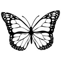 Social Butterfly Marketing | Media | Consulting logo - Similar company to Learning Forte