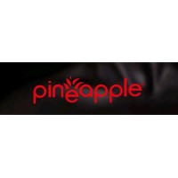 pineapplecosmeticssa logo - Similar company to Eye Express