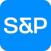 S&P Consulting GmbH logo - Similar company to Buds & Bits Gmbh