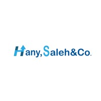 Hany,Saleh&Co. logo - Similar company to Hany Elaraby & Co