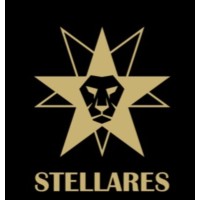 Stellares S.r.l. logo - Similar company to Hexesoft S.R.L.