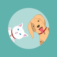 PETFACEAPP logo - Similar company to Ask Bilişim