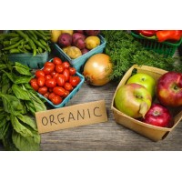 Ecofood logo - Similar company to Ecofood S.A.