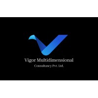 Vigor Multidimensional Consultancy Pvt Ltd logo - Similar company to Extrapolix