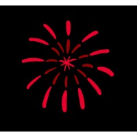 feuerwerk Studio logo - Similar company to Funkt Studio