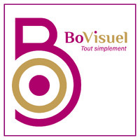 BoVisuel logo - Similar company to Emoko