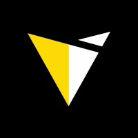 Puzzmeta logo - Similar company to Promsoftware