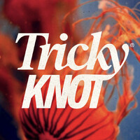Tricky Knot logo - Similar company to Byteready