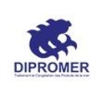 DIPROMER logo - Similar company to Hbz-Group
