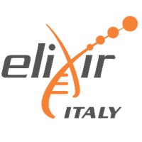 ELIXIR-IT logo - Similar company to Elixir