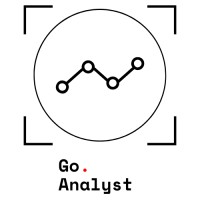 Go Analyst logo - Similar company to Go Analytics
