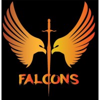 TEAM FALCONS logo - Similar company to Millenium Software Solutions