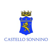 Castello Sonnino logo - Similar company to Corriere Di Chieri E Dintorni