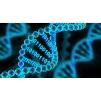 Genomics explained logo - Similar company to Omics Global Solutions