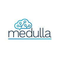 Medulla logo - Similar company to Gdevcon Anz Inc