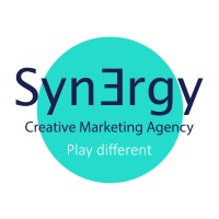 Synergy Egypt logo - Similar company to Visual