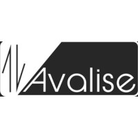 Avalise Engenharia Avaliações e Perícias LTDA logo - Similar company to Engesolve Solucoes Ambientais Integradas