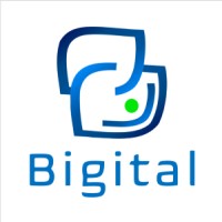 BIGITAL BUSINESS SOLUTIONS LLP logo - Similar company to Web-O-Cloud Solutions