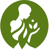 Nascent Solutions logo - Similar company to Absolutdata Research & Analytics Solutions Private Limited
