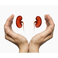 Dialysis Foundation logo - Similar company to Job Foundation