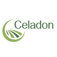 Celadon Solutions Group