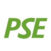 PSE Technik logo - Similar company to Gummi Stricker Gmbh