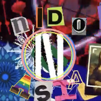 NIDO ASIA logo - Similar company to Gro Fieldwork