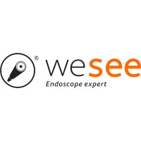 Weseemed logo - Similar company to Microlife Technology