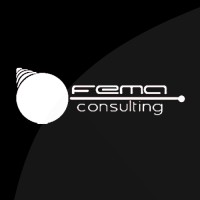 FEMA CONSULTING logo - Similar company to Fm Servizi - Fastweb Business Partner