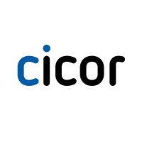 Cicor Group logo - Similar company to Tt Electronics Plc