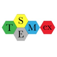STEMex Academy logo - Similar company to Ichk Secondary