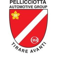 Pellicciotta Automotive Group logo - Similar company to Torcam Carstar